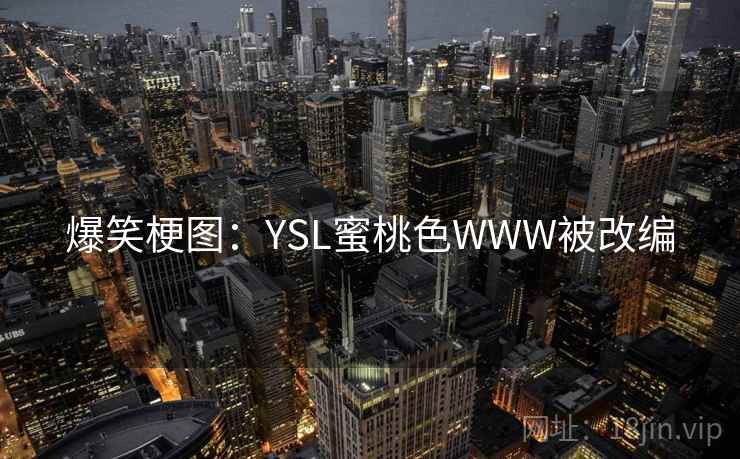 爆笑梗图：YSL蜜桃色WWW被改编