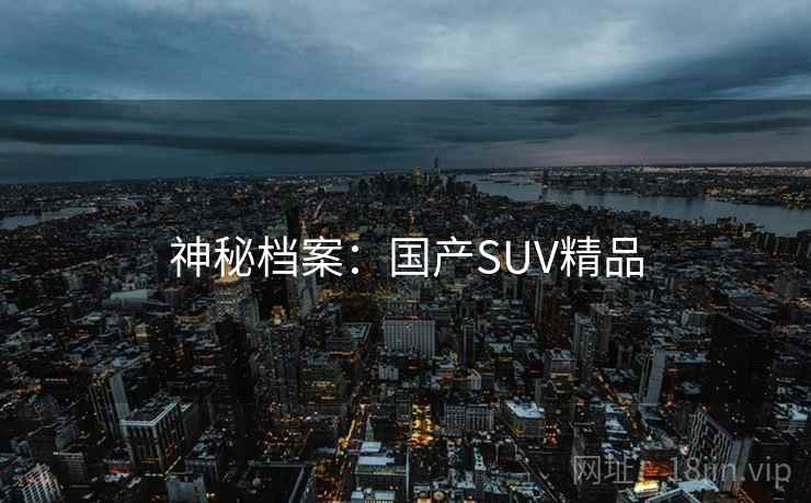 神秘档案:国产SUV精品