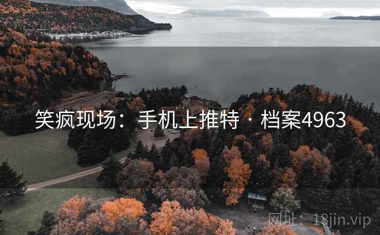 笑疯现场：手机上推特 · 档案4963
